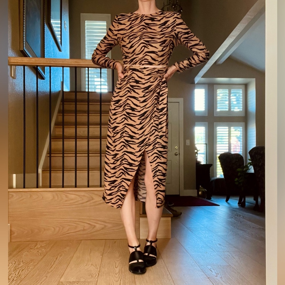 Reformation Maurita Tiger Stripe Print Dress - Picture 10 of 12